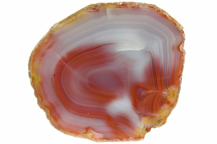 Colorful, Polished Patagonia Agate - Highly Fluorescent! #214920
